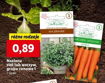 Lidl Marchew jadalna lenka oferta