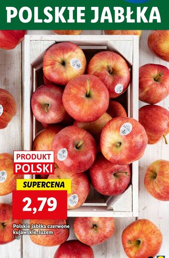 Lidl Jabłka kujawskie oferta