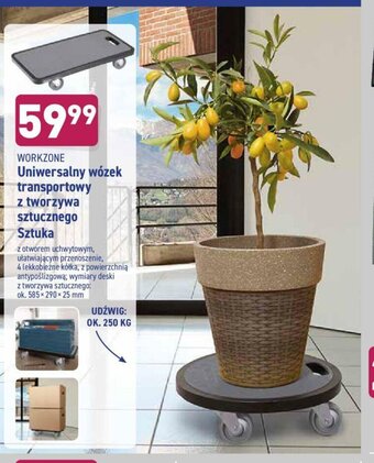 ALDI Uniwersalny wózek transportowy z tworzywa sztucznego oferta