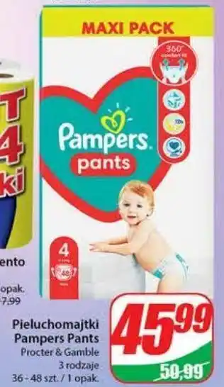 Dino Pieluchomajtki maxi 4 pampers pants oferta