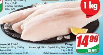 Dino Panga abramczyk oferta