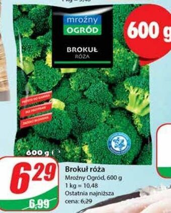 Dino Brokuły mroźny ogród oferta