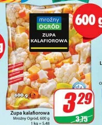 Dino Zupa kalafiorowa mroźny ogród oferta
