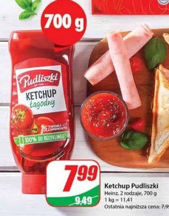 Dino Ketchup łagodny pudliszki oferta
