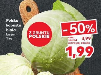 Kaufland Kapusta biała oferta