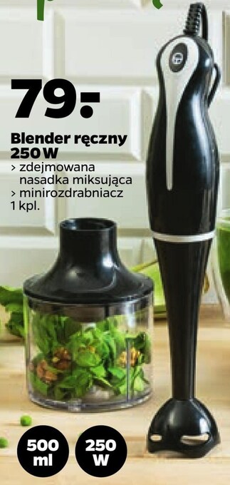 Netto Blender ręczny oferta