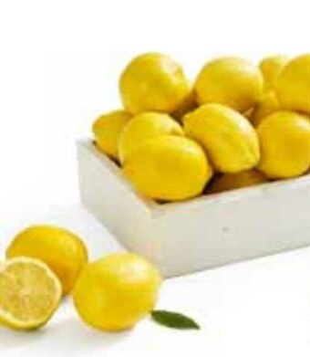 Stokrotka Cytryna oferta