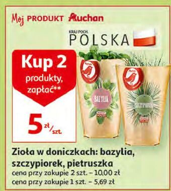 Auchan Bazylia auchan różnorodne (logo czerwone) oferta