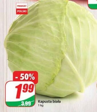 Dino Kapusta biała oferta