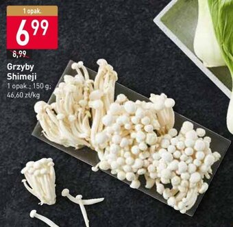 Stokrotka Grzyby Shimeji 150g oferta
