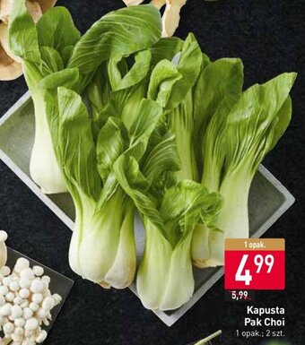 Stokrotka Kapusta Pak Choi 2szt. oferta