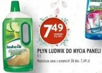 Stokrotka Grupa Inco Płyn Ludwik do mycia Paneli 1l oferta