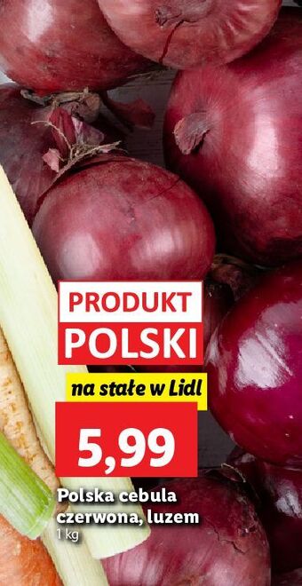Lidl Cebula czerwona oferta