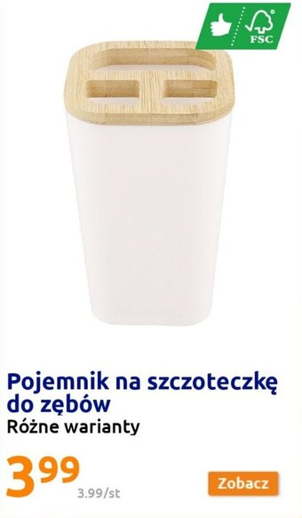 Action Pojemnik na szczoteczkę do zębów oferta