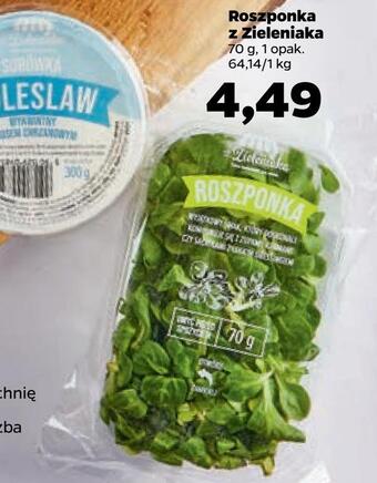 Netto Roszponka z zieleniaka oferta