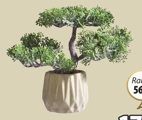 JYSK Sztuczna roślina oferta