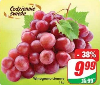 Dino Winogrona oferta