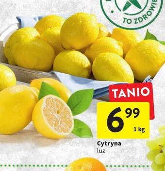 Intermarche Cytryna oferta