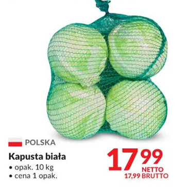 Kapusta biała 10kg