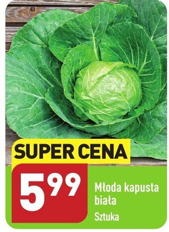 ALDI Młoda kapusta biała 1szt. oferta