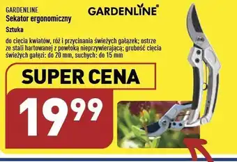 ALDI Sekator ergonomiczny ogrodowy garden line oferta