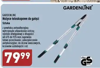 ALDI Nożyce teleskopowe do gałęzi garden line oferta