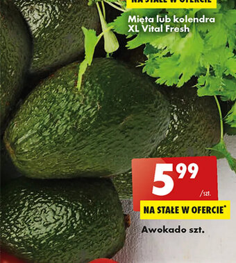 Biedronka Awokado 1szt. oferta