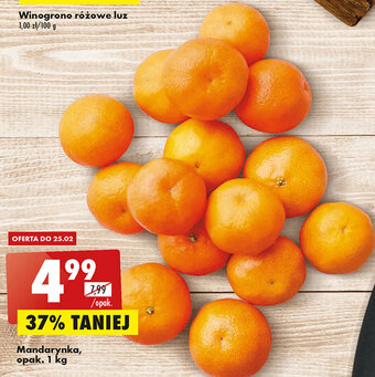 Biedronka Mandarynka 1kg oferta