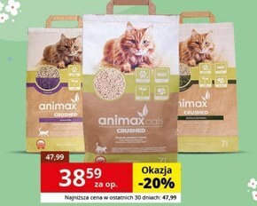Kakadu Żwirek animax oferta