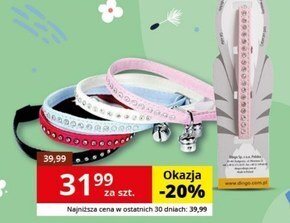 Obroża dla kota dingo