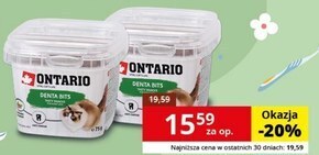 Przysmak dla kota ontario