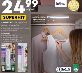 Biedronka Lampka lethe oferta