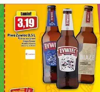 Topaz Żywiec Piwo 0,5l oferta