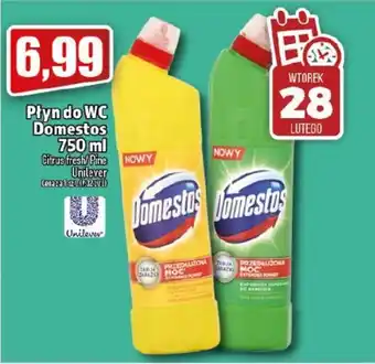 Topaz Domestos żel do WC 750ml oferta