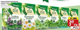 Hala Wola Herbapol Herbata Zielnik Polski 20 torebek oferta