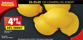 Biedronka Cytryna luz 1kg oferta