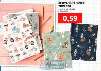 Lidl Zeszyt A5 16 kartek oferta