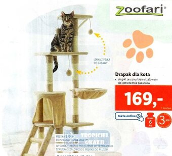 Lidl Drapak dla kota oferta