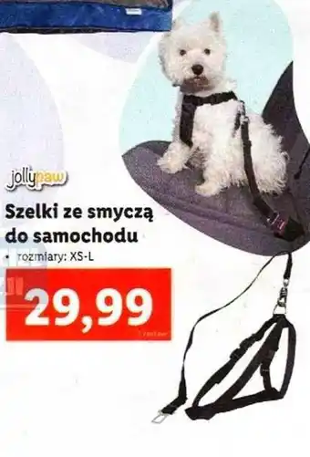 Lidl Szelki ze smyczą do samochodu oferta