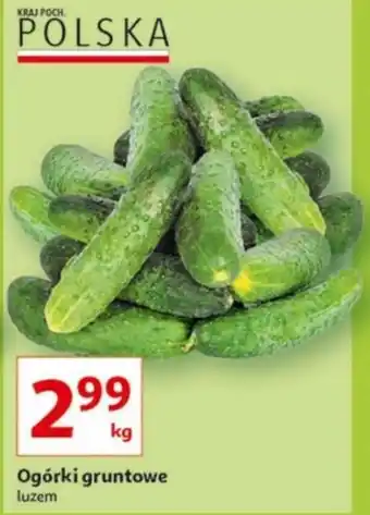 Auchan Ogórki gruntowe 1kg oferta