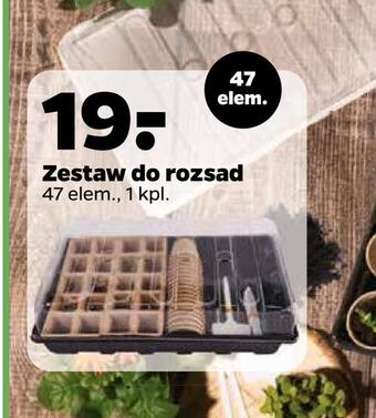 Netto Zestaw do rozsad oferta