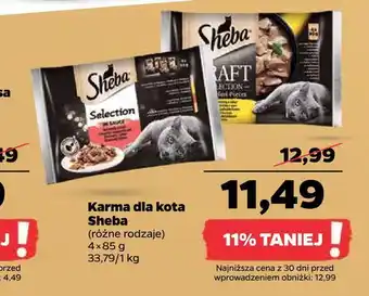 Netto Karma dla kota sheba oferta