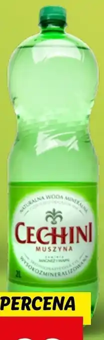 Lidl Muszyna cechini naturalna woda mineralna wysokozmineralizowana średnionasycona 2 l oferta