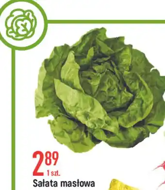 E.Leclerc Sałata masłowa 1 szt. oferta