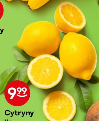 Żabka Cytryna oferta