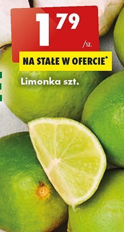 Biedronka Limonka oferta