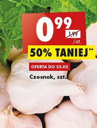 Biedronka Czosnek oferta