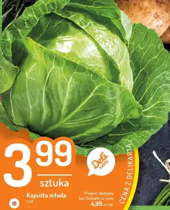 Delikatesy Centrum Kapusta młoda 1sztuka oferta