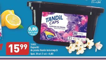 ALDI Kapsułki do prania color tandil oferta