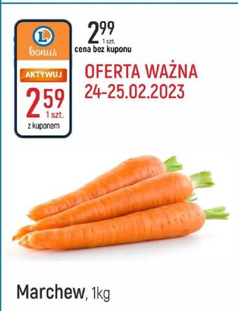 E.Leclerc Marchew oferta